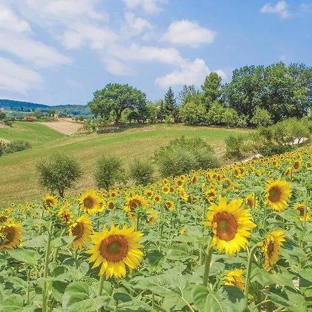 Casa Di Patrizia Holiday home Avenale
